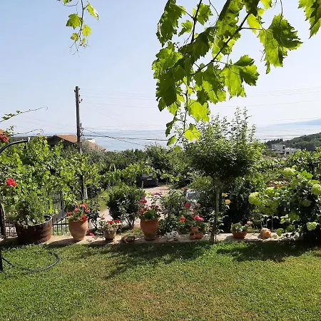 Popov Guest house 2*