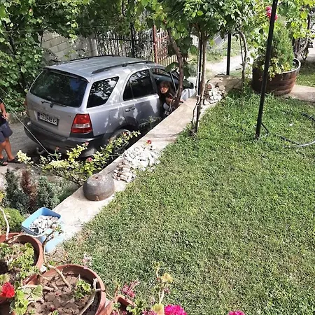 Popov Πανσιόν Μπαλτσίκ