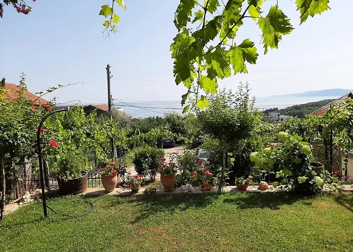 Popov Guest house 2*