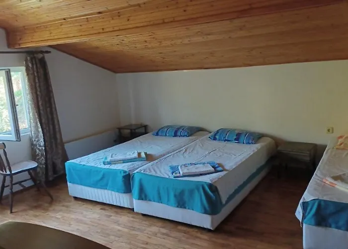 Popov Guest house 2*