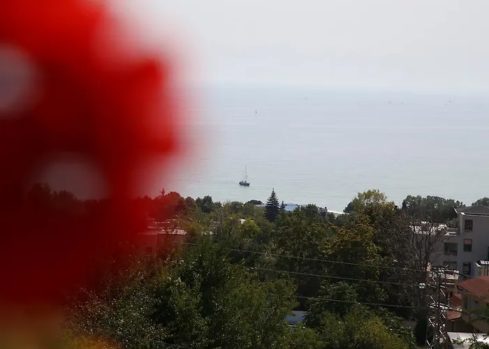 Popov Guest house Balchik