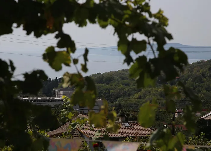 Guest house Popov 2*